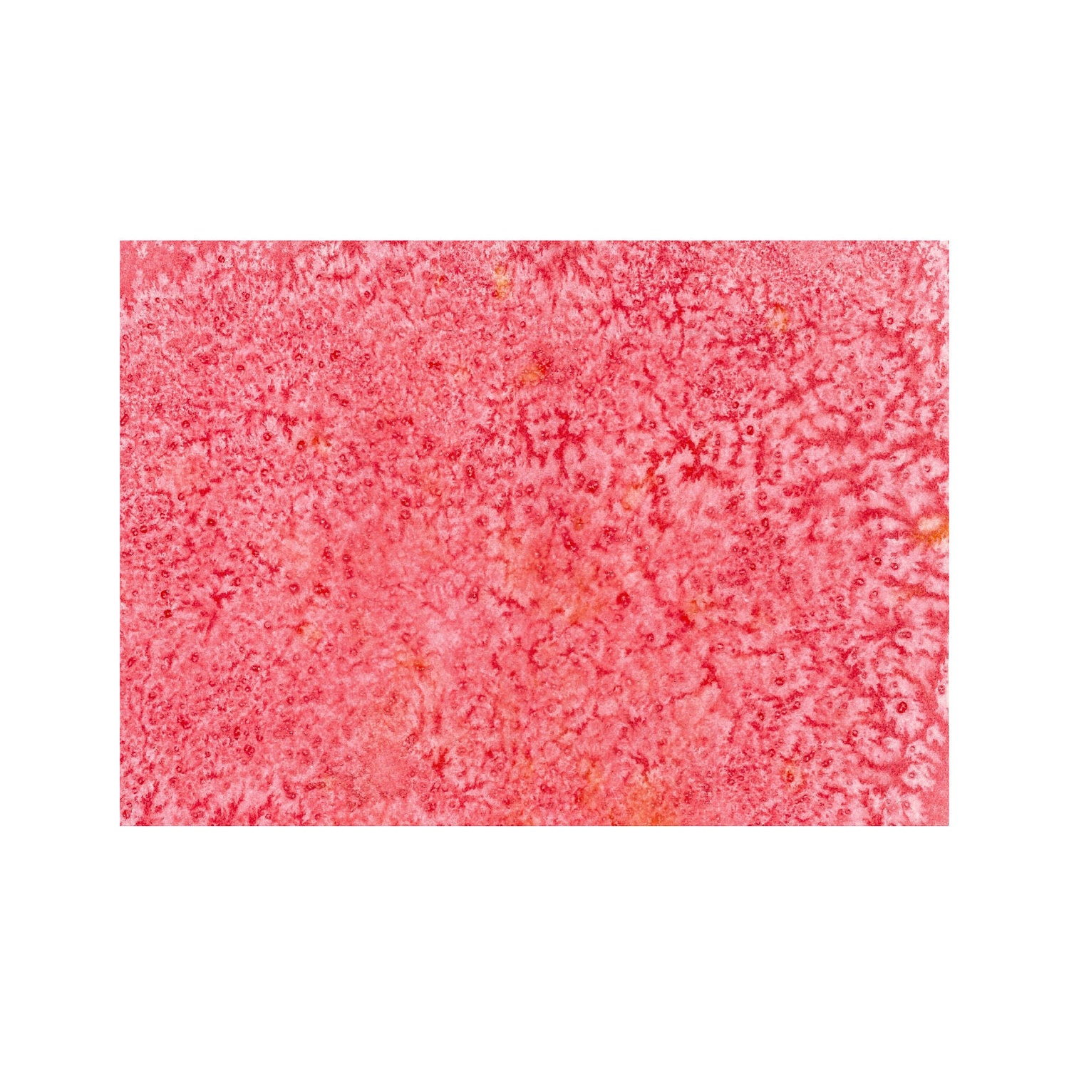 Red Watercolor & Salt Original Abstract Art Painting