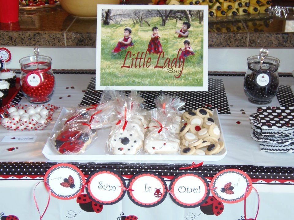 Ladybug/Flower Sugar Cookies