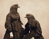 Bird Art Print, Mixed Media Collage Print, The Pigeon Sisters, 8x10 Altered Antique Portrait, frighten
