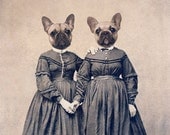 French Bulldog Art, Mixed Media Collage Print, The Bully Girls, Altered Antique Civil War Portrait of Twin Sisters, 5x7 with 8x10 Black Mat