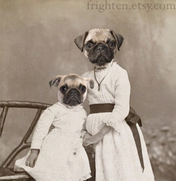 Pug Girls, Mixed Media Collage Print, 5x7 Altered Antique Portrait of Two Sisters, Dog Art Print, frighten