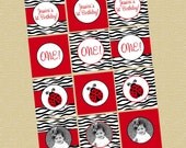 Ladybug Zebra Print Toppers - Any Age - Coordinate to Ladybug Invite Il_170x135
