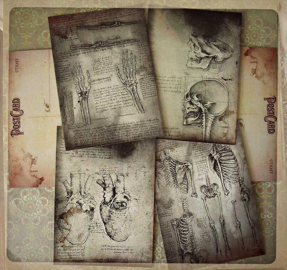 Grim Anatomy -  Replica Postcard Set of 4