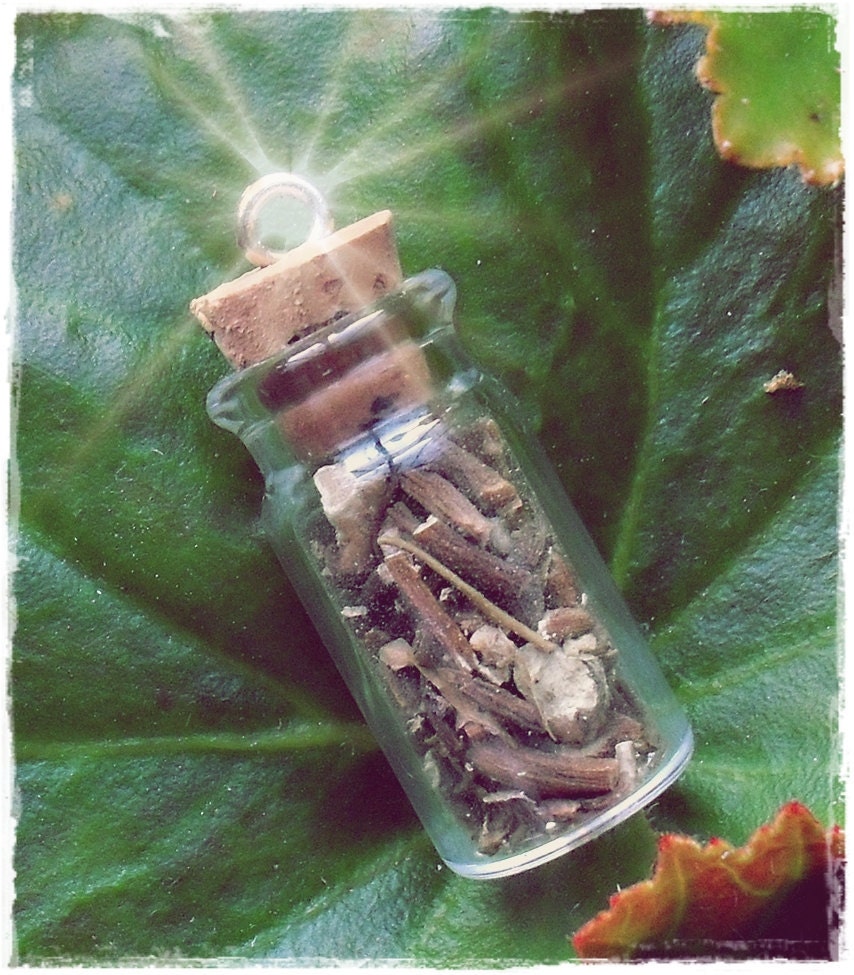Enchanted Vial of Mandrake Root