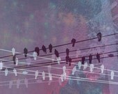 Purple Blue Birds On Wire 8x10 matted photo - Wall Art Gift Lavender Metallic