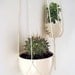 Minimalist Plant Hangers Without Beads - Set of 2 - Cotton Twine, 43 inches/109cm's long and 36 inches/91cm's