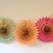 Fancy Frill Tissue Fan
