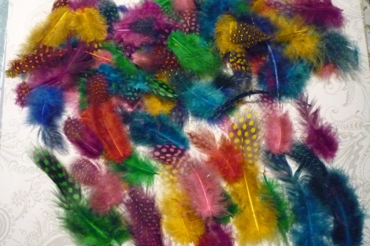 Large Bag of Guinea Bird Plumage Feathers in Vibrant Colors 3 -4 inches long