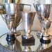 Rare French Trophy Cup PAQUEBOT FRANCE Silverplate