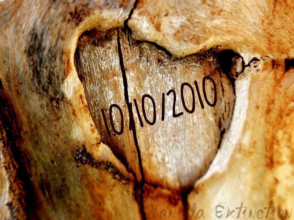 Personalized Wedding Photography Anniversary,Gifts under 25,shabby chic,heart,tree,wood,unique