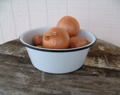 Enamelware Graniteware Bowl-Small- Vintage Farmhouse Charm