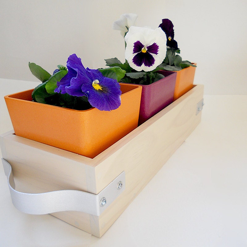 RUE: modern wooden flower box caddy summer home decor