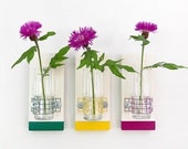THISTLE: modern saturated colors wall mount flower vase set