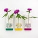 THISTLE: modern saturated colors wall mount flower vase set