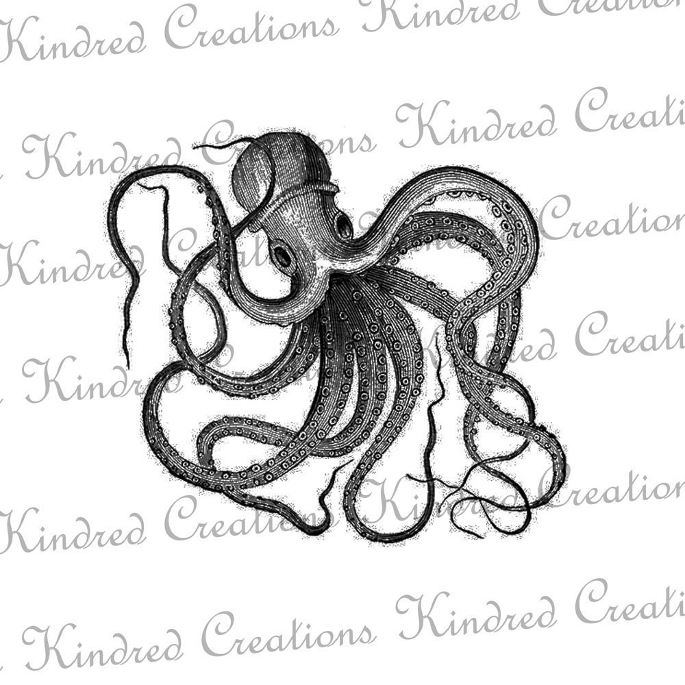 Vintage Octopus Ocean Sea Nautical 300 dpi Digital Image Download Transfer For T Shirts Totes Napkins 046