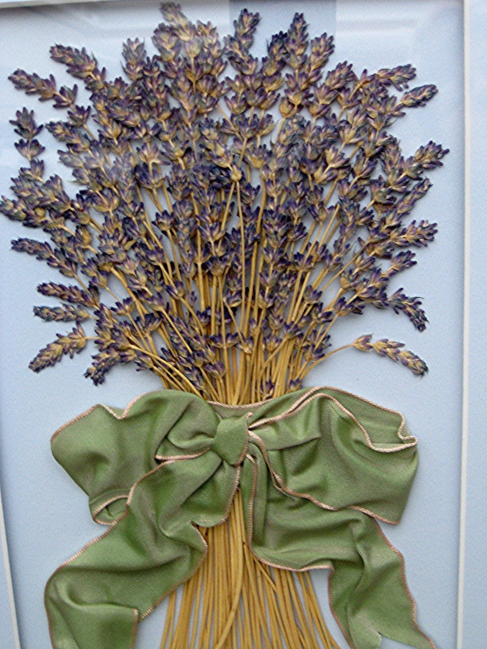 LAVENDER Wall Decor Dried Lavender Bouquet with Ribbon in Light Blue Mat and Classic White Frame