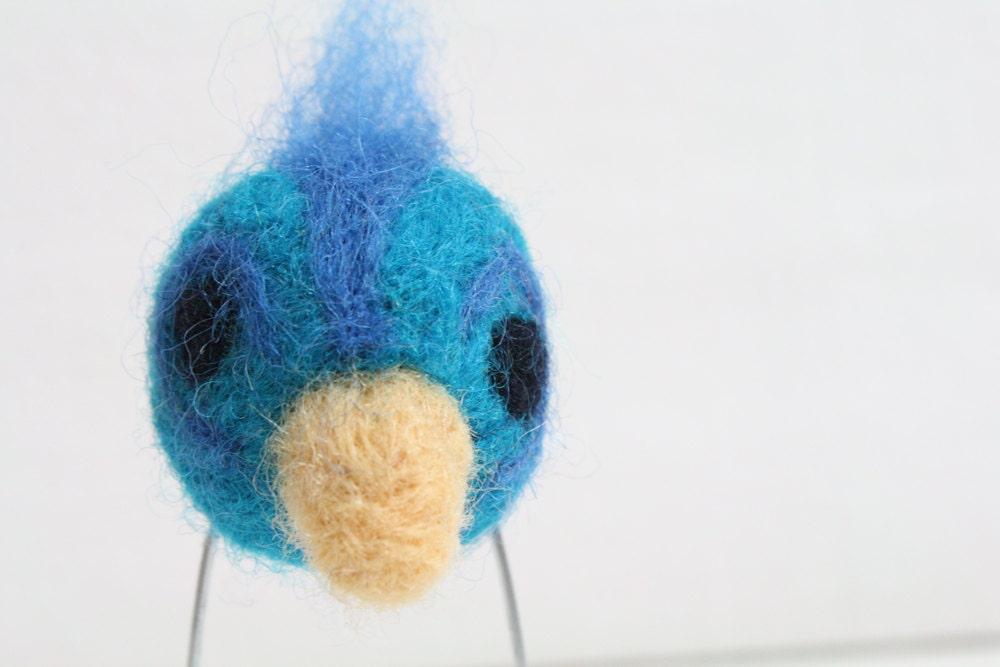 blue and turquoise big-footed bird