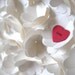 Wedding Gift, Personalized 1,001 3D Hearts - One red heart amongst a cascade of white flowers made from 1,000 hearts