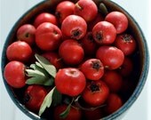 Hawthorn Berry Tincture
