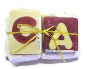 Initial Soaps with face towel or scrubbies