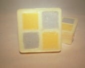 Black Raspberry & Vanilla Embedded Sugar Scrub Soap