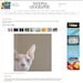 5" x 5" Print, National Geographic, Sphynx Hairless Cat, Opal, Pet Portrait, White, Khaki, Pink, Fine Art Photography by Glennis Siverson