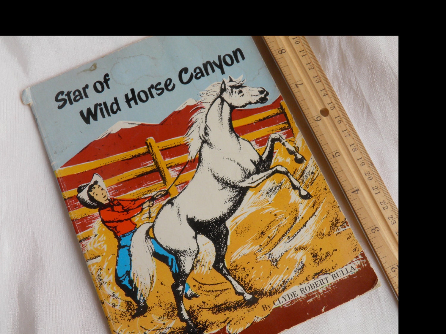 1953 Star of Wild Horse Canyon  - Cowboy Cool Illustrations - Chapter Book