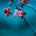 Christmas art - Throw the bodies in the creek - cerulean hydrangea - metallic print - fine art - 12x12