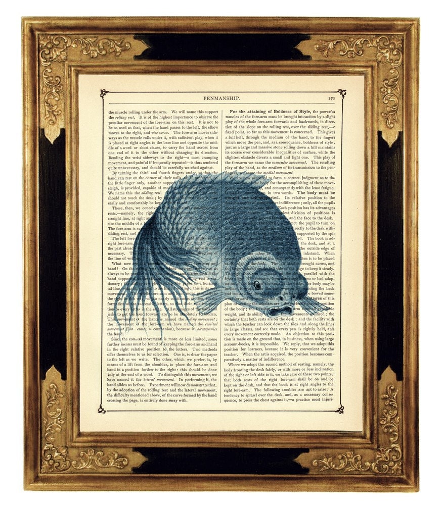 Blue Japanese Fish Kawaii Sea Natural History - Vintage Victorian Book Page Art Print Steampunk