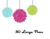 Tissue Pom Poms - Set of 30 Large - Pick Your Colors
