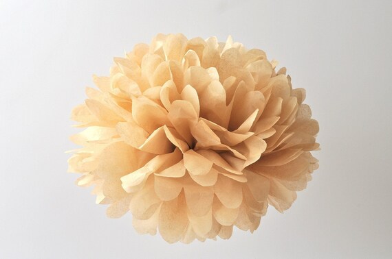 1 Large Tissue Pom Pom - Tan Il_570xn
