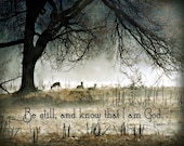 Deer In Mist  11x14 Fine Art Photograph
