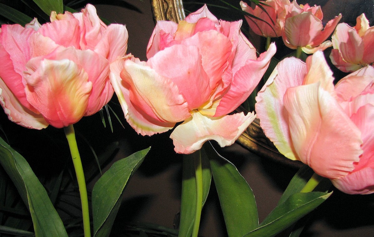Beautiful Tulips Growing From Faux Bulbs, Lovely Silk Flower Display