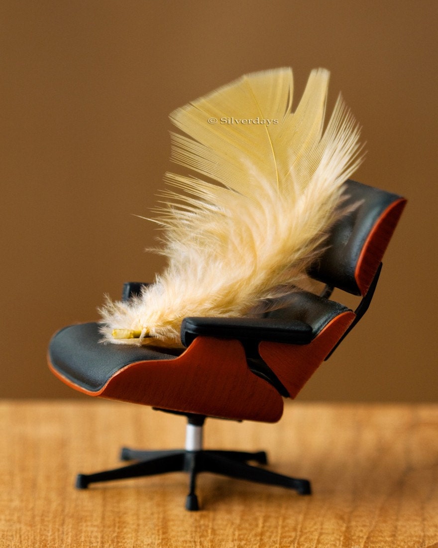 Feather Eames Lounge Chair Mid Century Modern Retro Mini Office Fine Art Photograph 8x10