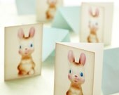 Bunny Greeting Card set of 4 easter spring blank note