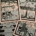 Sapling - Screenprinted Comic
