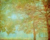 Trees, nature fine art photo -Feels Like a Memory - Fine Art Photograph - Trees in turquoise blue and yellow - 8x10 Print
