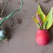 Ruby Planter Lapel Pin: A Wearable Planter