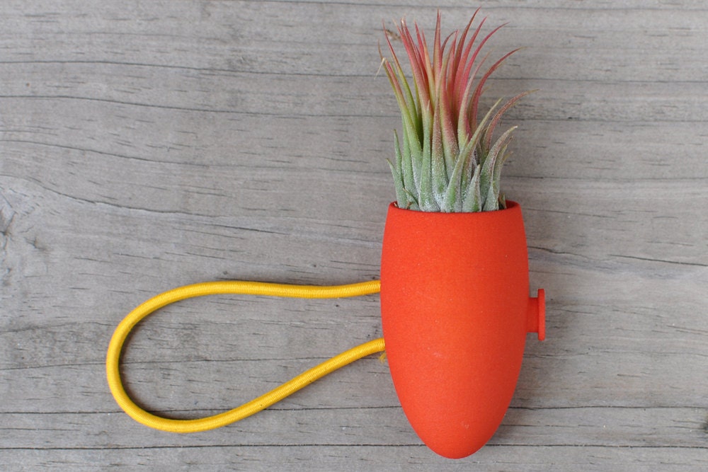 Red Planter for your Bike: A Wearable Planter