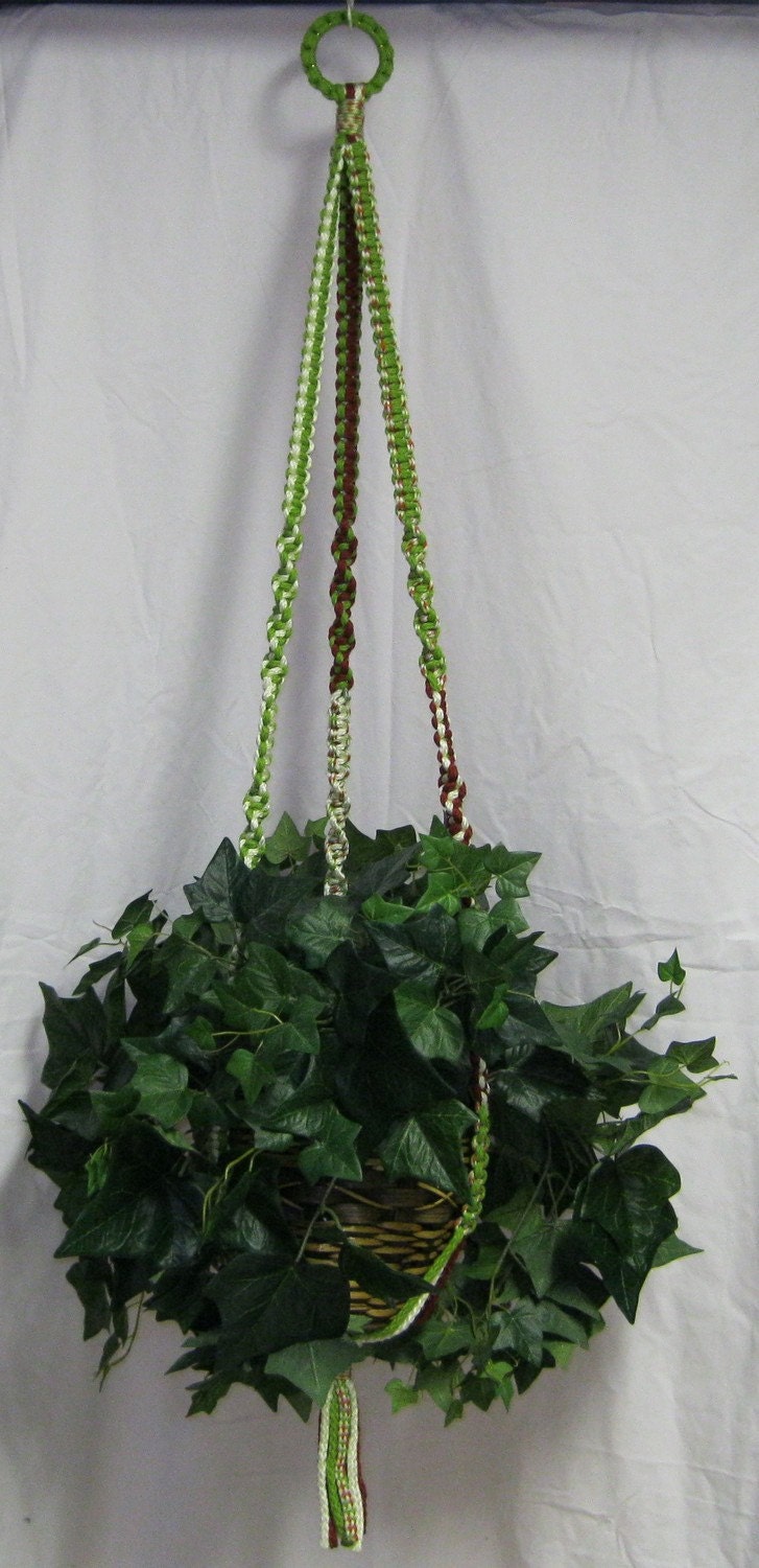 Green Variegated Macrame Plant Hanger
