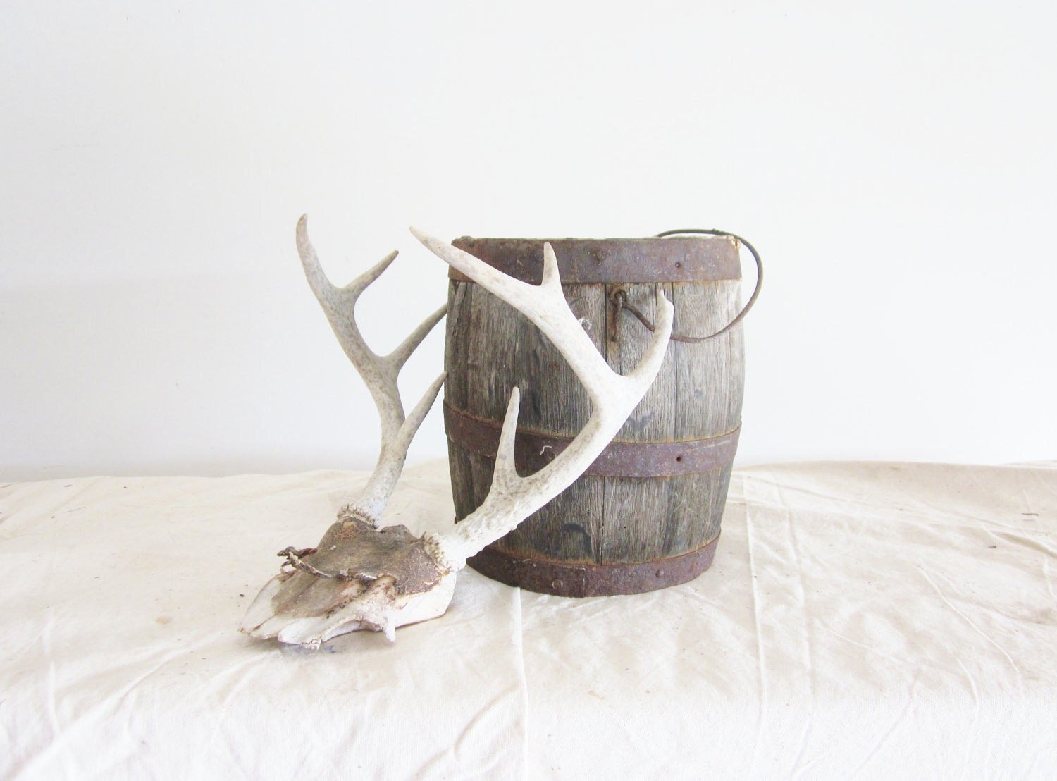 Pure Snow White Dappled Deer Antlers Found Rustic Primitive Decor Country Cottage Log Cabin Ranch house Decor
