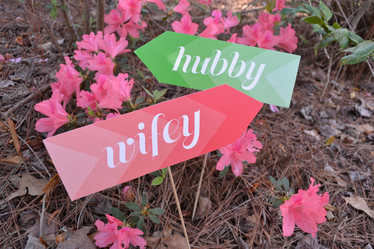 Hubby and Wifey Signs Photo Props