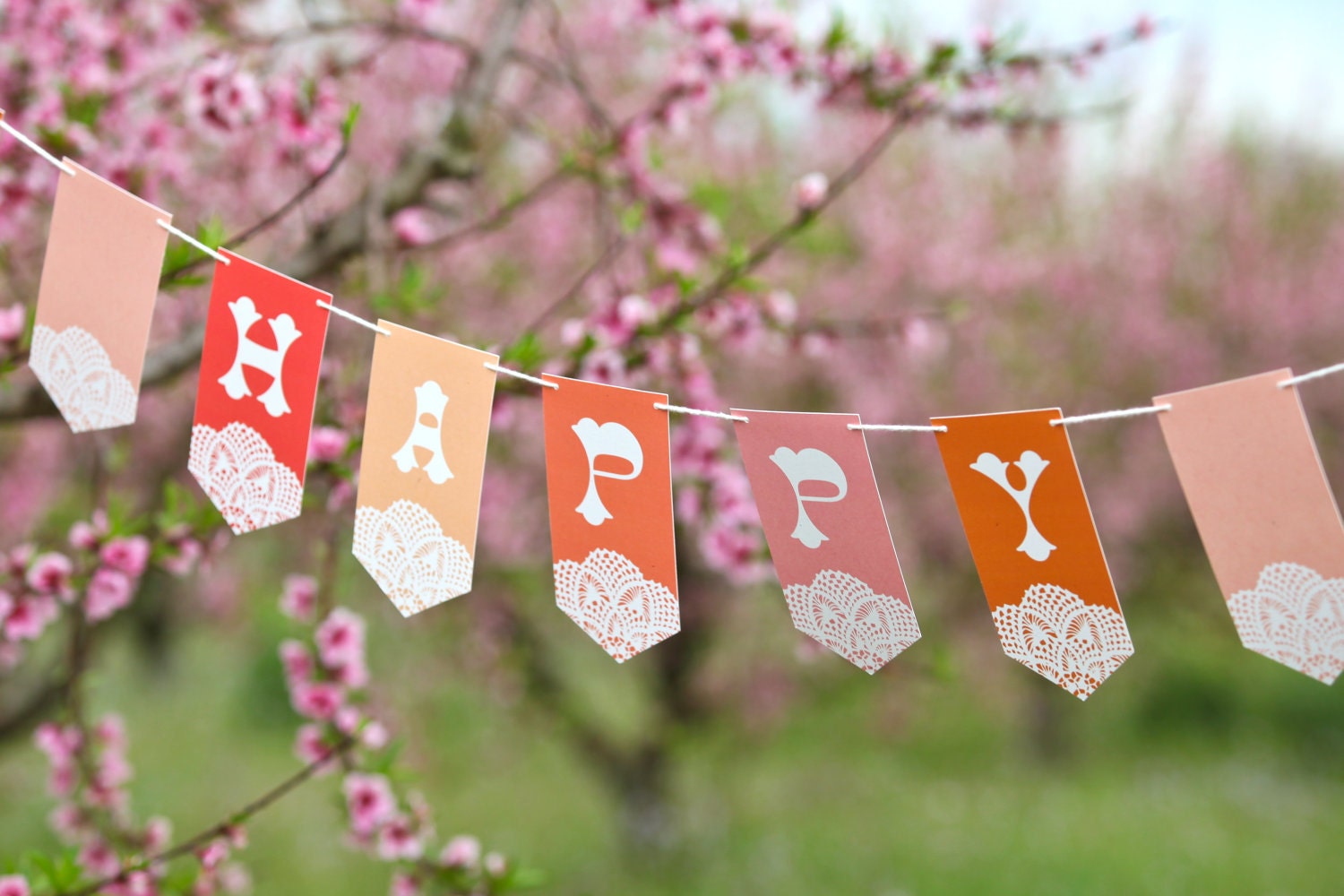 Doily Design Oh Happy Day Wedding Banner - Coral and Pink - Large