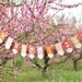 Doily Design Oh Happy Day Wedding Banner - Coral and Pink - Large