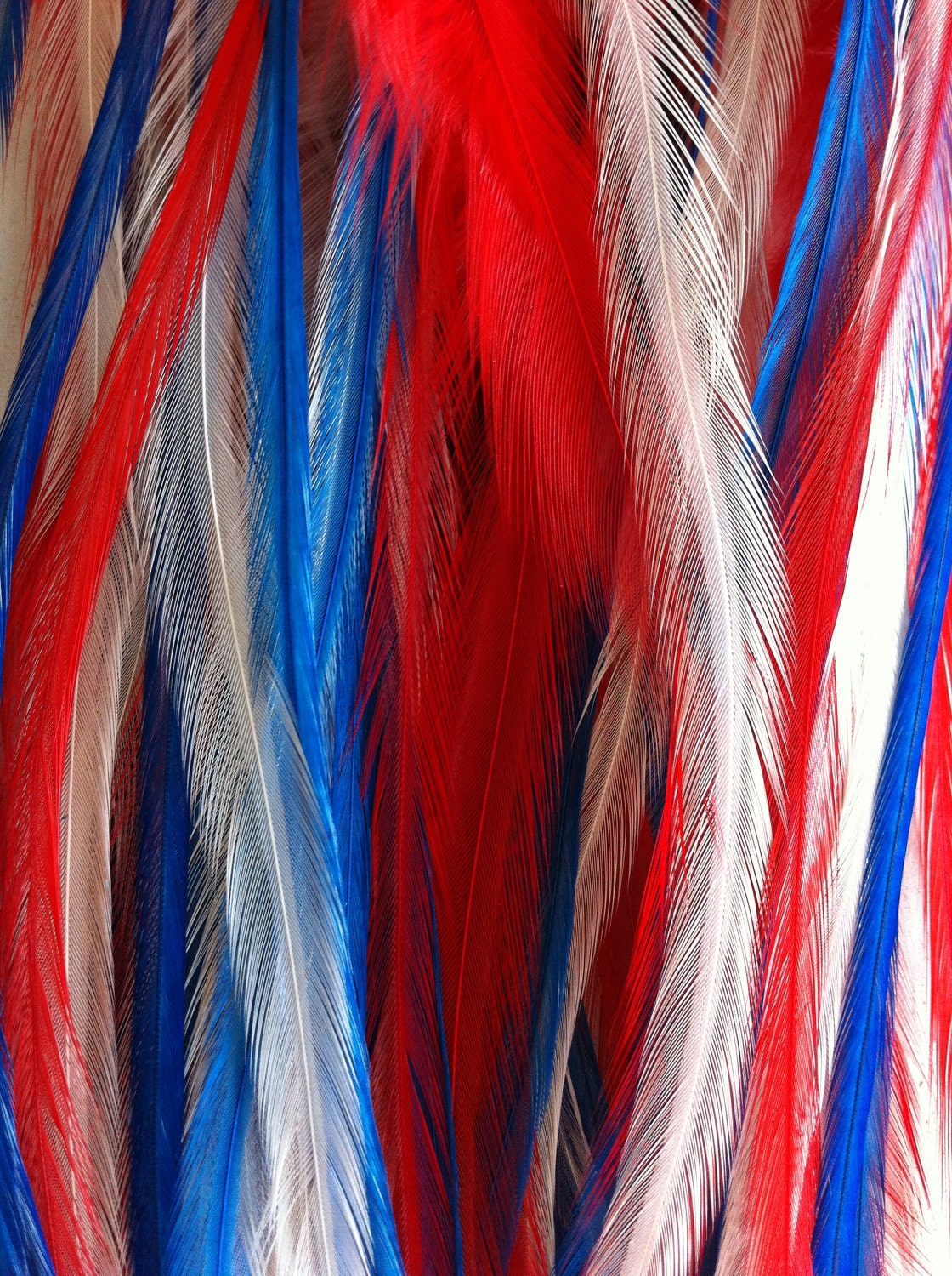 Feather Extensions - Independence Collection (Red White and Blue) Salon Grade- 6 Feathers made into 1 Extension:Free clip or micro link