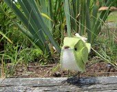CUSTOM Single Bird