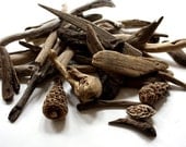 driftwood variations - 45 pieces all natural mediterran driftwood -  perfect for own projects or the coastal home