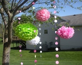 SALE ANNIVERSARY SPECIAL Add a set of five tissue pom poms