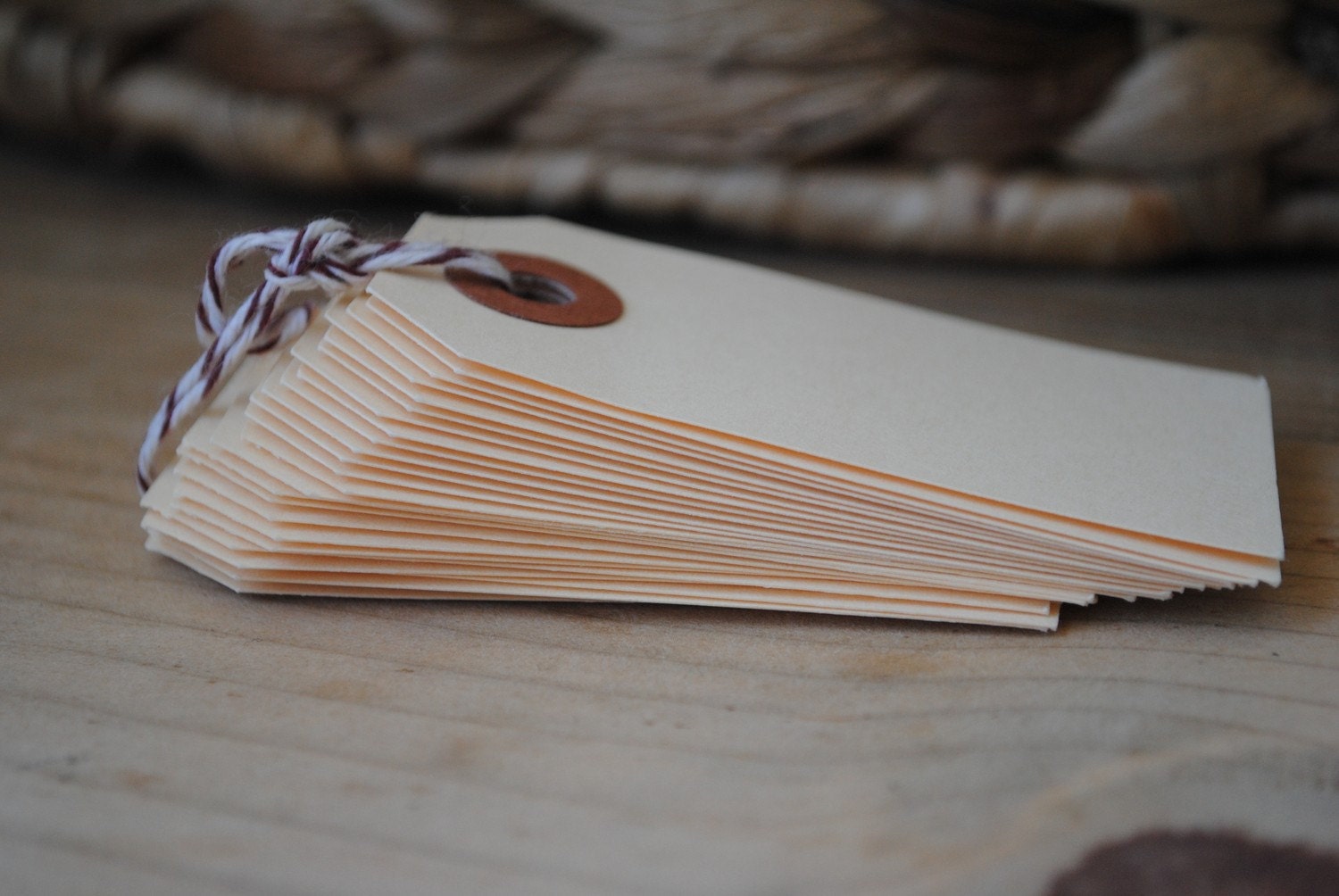 100 Blank Manilla Tags- DIY