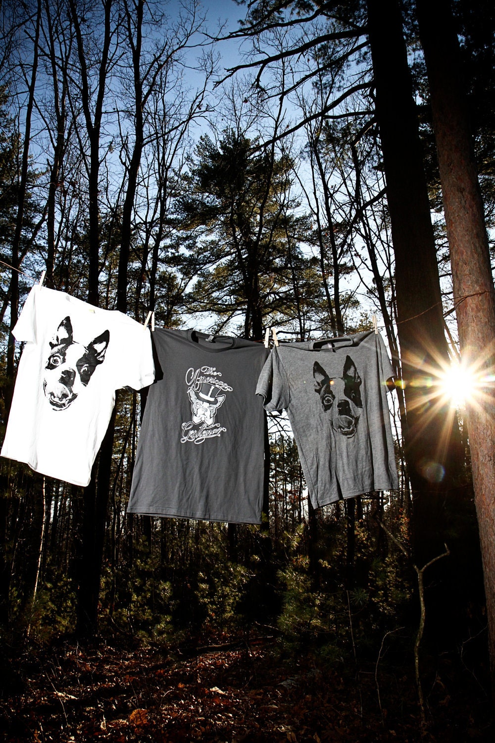 Men Boston Terrier Heather Grey Graphic Shirt Available in S-M-L-XL-2XL Free Shipping